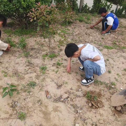 【关爱学生 幸福成长】———馆陶县马头中学全面育人 引领学生身心健康发展