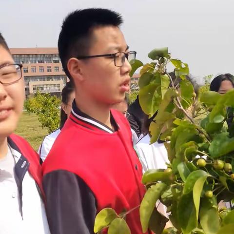 追梦少年，别样体验——烟台开发区六中初二、二班综合实践周活动（二）
