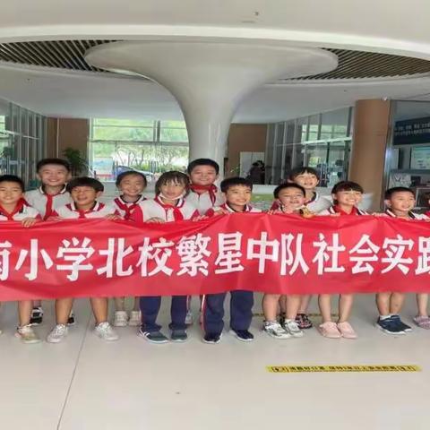 繁星闪烁，熠熠生辉——潘南北校三（3）中队总结