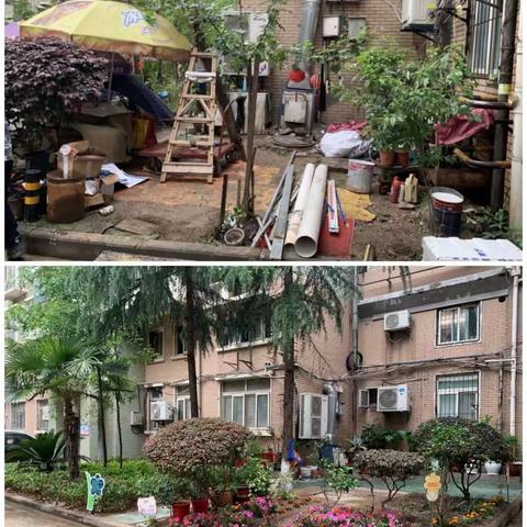 “共享花园”你我共建，共养护齐欣赏增进邻里情