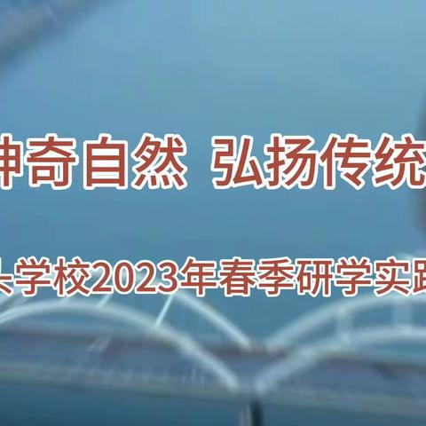 走进神奇自然  弘扬传统文化——记沙井头学校2023春季研学实践活动