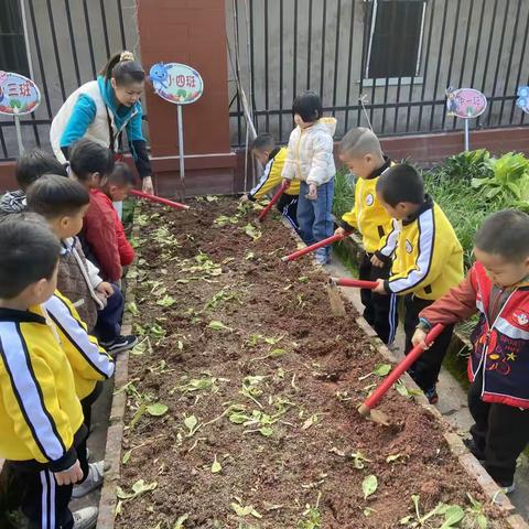 “小四班的一亩三分地”——平和县新星幼儿园（宝善小区）