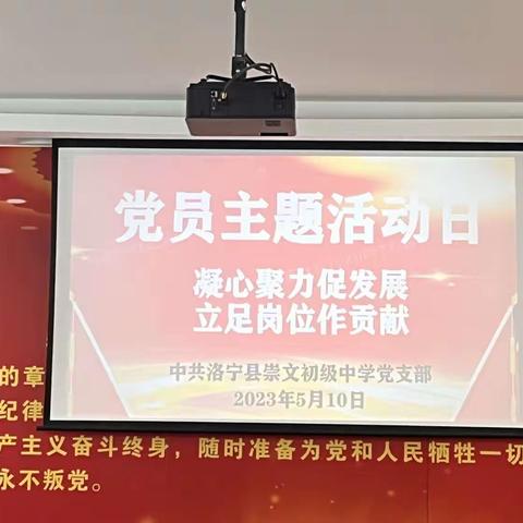 崇文中学党支部开展“凝心聚力促发展，立足岗位做贡献”党员主题活动日