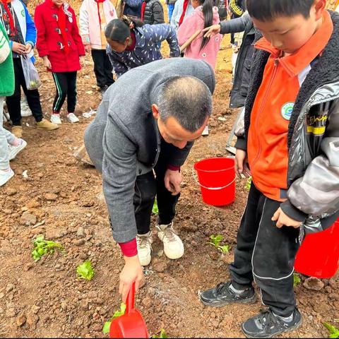 “蔬”香为伴，乐于劳动——青市小学5.1班劳动基地活动