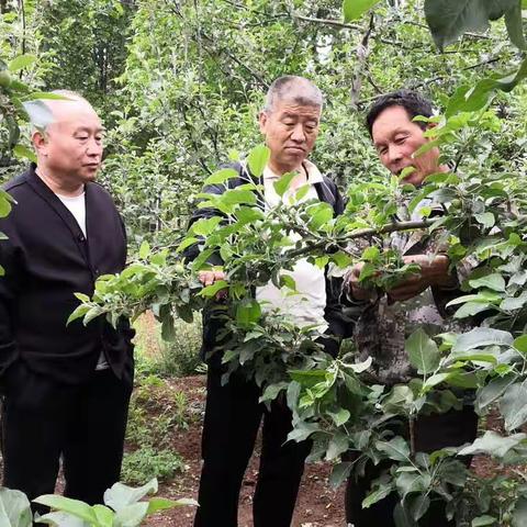 【灵宝农业】农广校工作人员督导2022年高素质农民培训后续跟踪服务工作