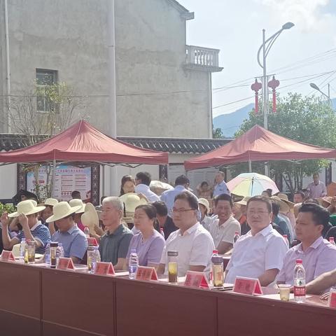 粽叶飘香庆端午 传承文明树新风