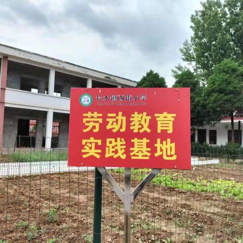 享劳动之乐，悟劳动之美——长水镇西衔小学校外中草药劳动基地实践活动