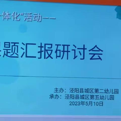 “镇村一体化”课题汇报研讨会