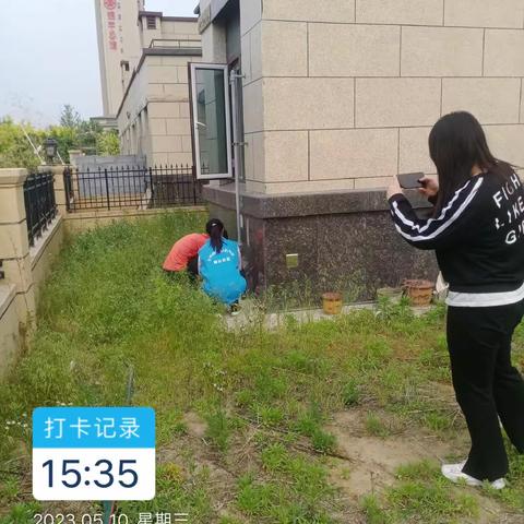 2023.5.10平阴县毒饵站安装工作