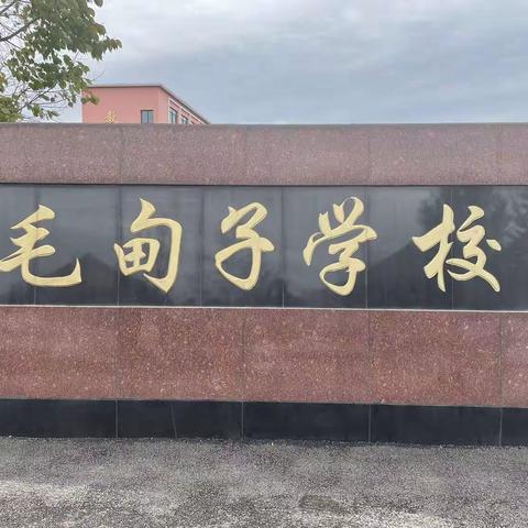 “我劳动，我光荣；我创造，我幸福”—毛甸子中学劳动节活动展示