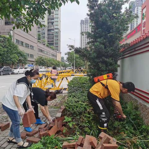 迎检查，促成长