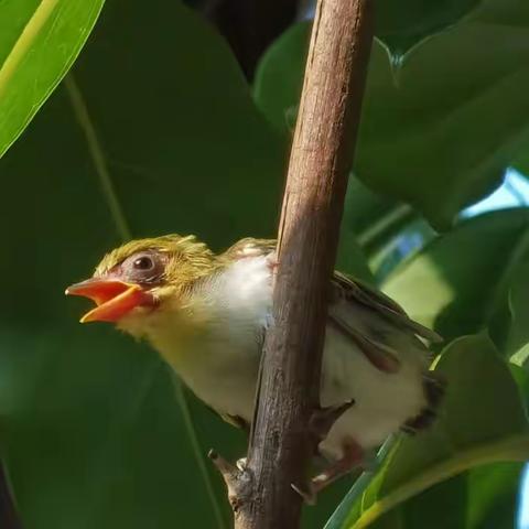 莲花班2023年5月6月简报