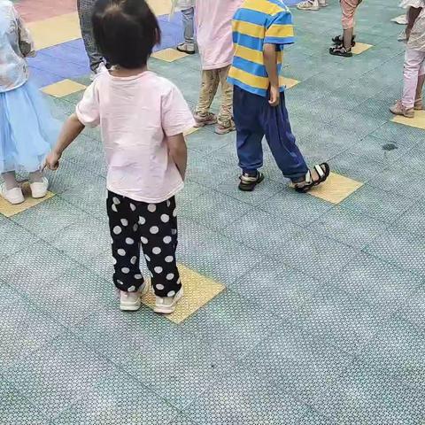 今日体智能活动《森林小桥》