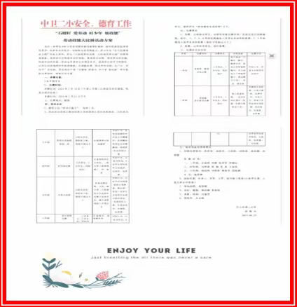 石榴籽 爱劳动 好少年 展技能——中卫市第二小学劳动技能大比拼活动剪影