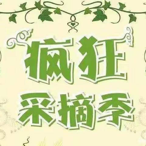 关爱学生  幸福成长——磁县讲武城镇第一幼儿园采摘篇