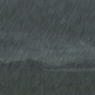 西南俎小学安全提醒：防汛 防暴雨 防溺水