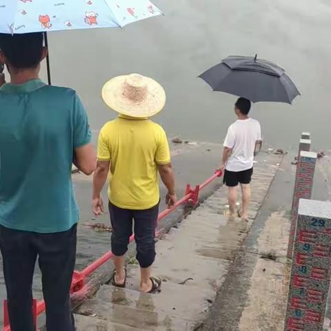 五合村委会工作简报
