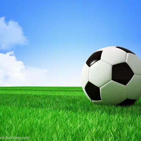 阳光☀️体育      足球⚽️运动💪