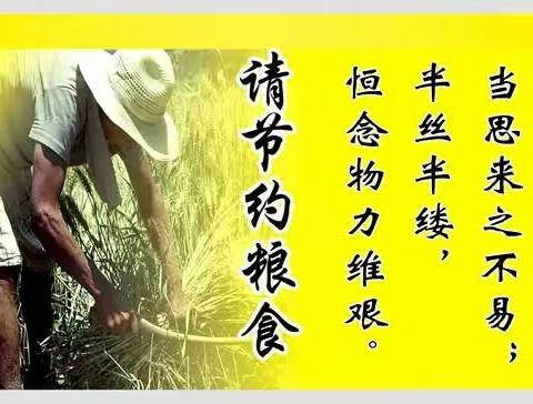 “不负‘食’光🍚，拒绝浪费”🌾 ——泾源县新民乡照明幼儿园节约粮食主题教育活动