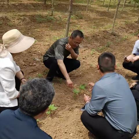 【聚力田村】5月19日工作动态