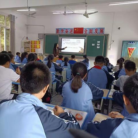 聚焦新课标，探索新课堂----青山小学2023年秋季学期教研活动纪实