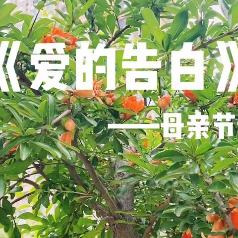 爱伴童年   感恩有你——阜南县胜利幼儿园母亲节主题活动