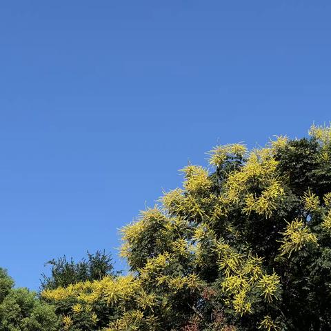 新学期，新气象——郴州市林邑中学高一地理组第一周集体备课活动