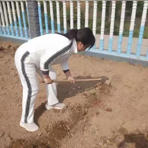 【添景苑学校·劳动教育动态】劳动砺心智 实践促成长