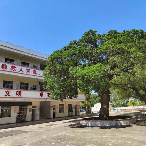 银海区银滩镇下村小学2023年秋季学期招生简章