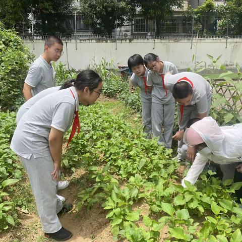 【6月19日】校园劳动小能手，争做勤劳杨桥人