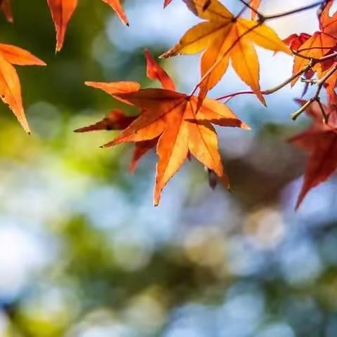 金太阳幼儿园预防流感致家长的一封信💖