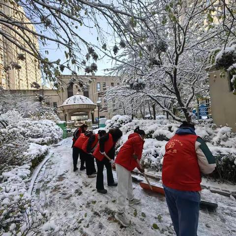 万达社区刘全国式党员代办站除雪志愿服务
