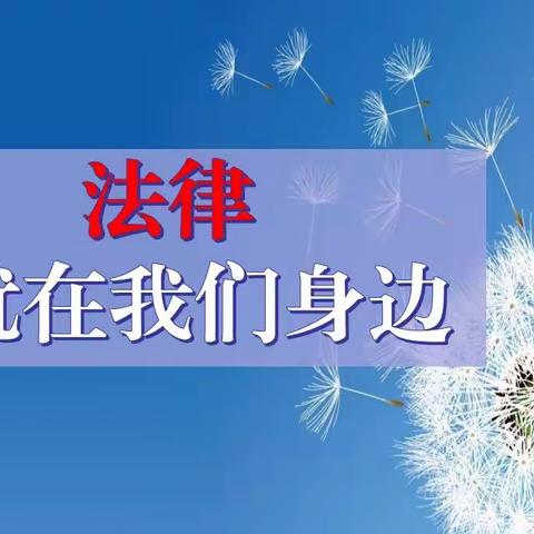 泸西县旧城镇松鹤小学附属幼儿园“法律伴我成长”普法强基进校园活动