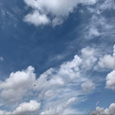 “筝飞梦想 ”【小清华幼儿园风筝节】🪁