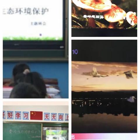 “秦岭生态环境保护”我们在行动——三要镇叶河小学