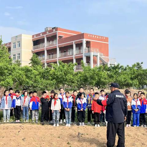 【劳动最光荣，致敬最美泉城建设者】——穆家小学三（1）中队劳动实践活动