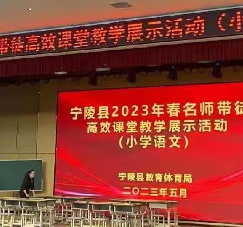 宁陵县2023春名师带徒高效课堂小学语文教学展示活动——聚焦课堂改革 创新高效赋能