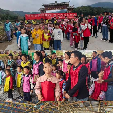 三园联动|| 体验农耕爱劳动  亲近自然爱生活——记三明学院附属小学一年5班劳动实践活动