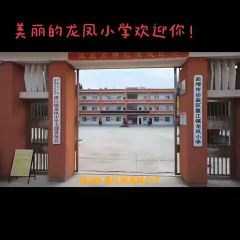 【办特色教育，促孩子健康成长】龙凤小学招生简章