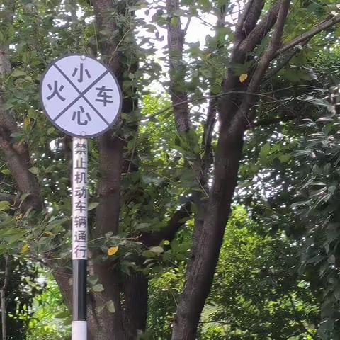 贤湖村巡护铁路沿线安全