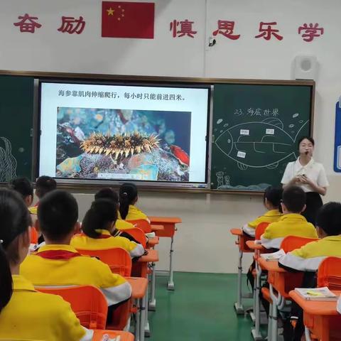 同课异构竞风采，联动教研齐奋进 ——君子营明宗小学与企岭小学语文组“同课异构”活动