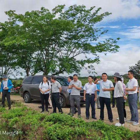 海南东寨港国家级自然保护区生态环境保护成效评估工作