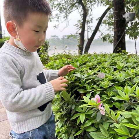 清远市新北江幼儿园小一班《花儿朵朵》主题活动回顾