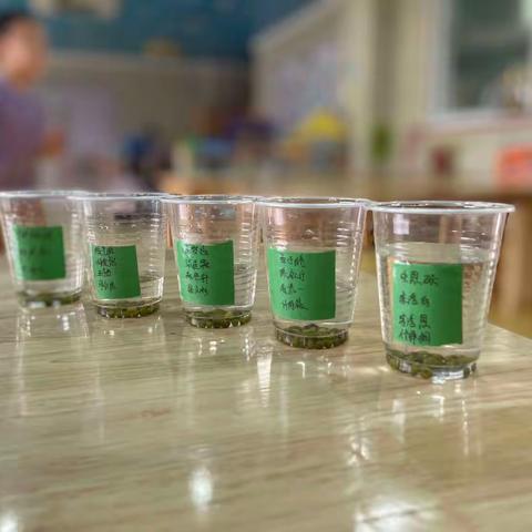 密云区博雅幼儿园中一班周报(4)