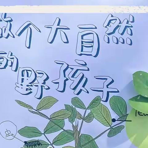 感受自然，探索世界（记录康平小学二年级一班研学活动）