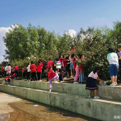 缤纷七月，欢乐樱桃节—罕达罕中心学校第七届校园樱桃节