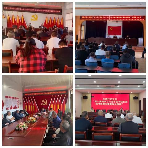 东镇各支部积极召开“深入学习贯彻习近平总书记在运城考察期间重要指示精神”主题党日活动