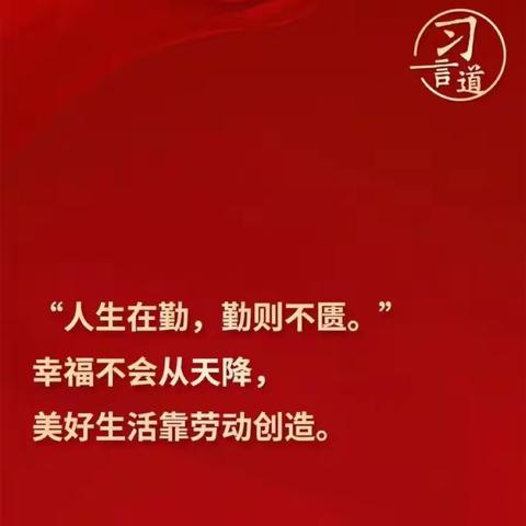 “劳动最光荣 党员在行动”——中宁四小劳动基地实践活动