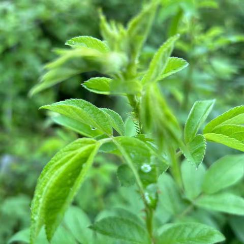 校园缤纷美好，社团精彩纷呈——记宁远县莲花小学二年级C组课后服务社团活动掠影