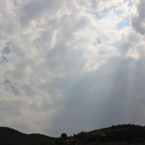 插上劳动之翅，腾飞梦想天空